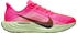 Nike Pegasus Plus (Herren)