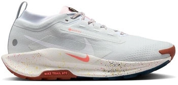 Nike Pegasus Trail 5 GORE-TEX Trailrunning-Schuhe 009 pure platinum white-football grey