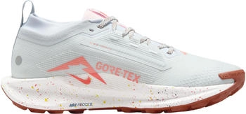 Nike Pegasus Trail 5 GORE-TEX Trailrunning-Schuhe pure platinum white-football grey