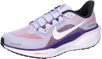 Nike Pegasus Straßenlaufschuh grau FD2723-013