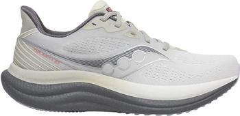 Saucony Triumph 23 (S21023-505) grey/shadow