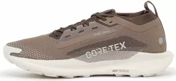 Nike Pegasus Trail 5 GTX SP (HQ7494-200) brown
