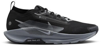 Nike Pegasus Trail 5 GTX (FQ0908-001) black