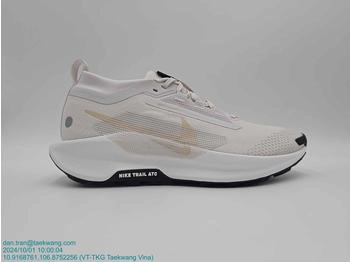 Nike Pegasus Trail 5 GTX (FQ0908-010) grey