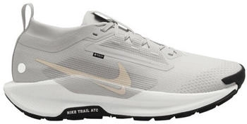 Nike Pegasus 41 Women (FQ0912-008) grey