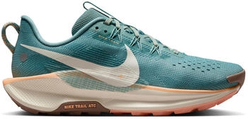 Nike Motiva GTX Women (DV3865-010) green