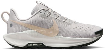 Nike Downshifter 13 Women (DV3865-009) grey