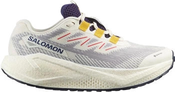 Salomon Aero Blaze 3 GRVL GTX weiss