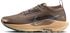 Nike Pegasus Trail 5 GTX Women