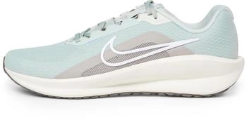 Nike Downshifter 13 Women light silver/white/college grey/sail