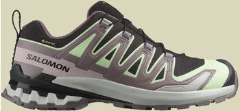 Salomon XA Pro 3D V9 GTX Women grau