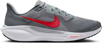 Nike Pegasus 41 grau