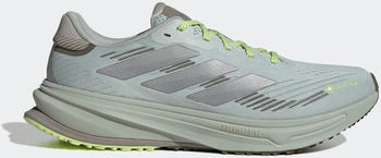 Adidas SUPERNOVA RISE GTX M wonsil/silvmt/olistr