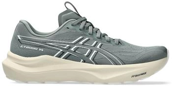 Asics GT-2000 14 (1011C056) momument/white
