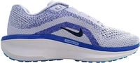 Nike FJ9509-006, NIKE Winflo 11 Laufschuhe Herren 006 - ghost/blue void-football
