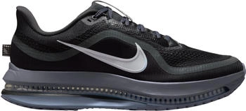 Nike Pegasus Premium (HQ2592) black/grey
