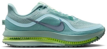 Nike Pegasus Premium (HQ2592) turquoise
