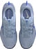 Nike Pegasus Trail 5 Women blau