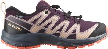 Salomon XA Pro V8 WP lila