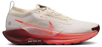 Nike Pegasus Trail 5 Gore-Tex blanc