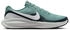 Nike Revolution 8 (HJ9198)