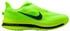 Nike Pegasus Premium