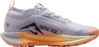 Nike Pegasus Trail 5 GORE-TEX waterproof trail running shoe grau
