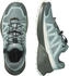 Salomon SPEEDCROSS PEAK GTX W trooper/tourmaline/clearly aqua