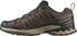 Salomon Xa Pro 3D v9 falcon/desert tan/schwarz