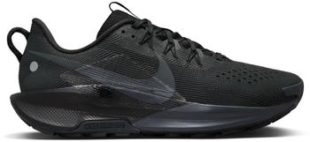 Nike Pegasus Trail 5 (DV3864) black/velvet brown/anthracite