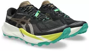Asics Trabuco 14