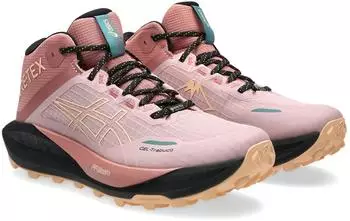 Asics Gel Trabuco MT GTX (Damen)