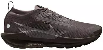 Nike Pegasus Trail 5 GTX ironstone/college grey/velvet brown