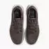 Nike Pegasus Trail 5 GTX ironstone/college grey/velvet brown