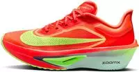Nike FN8455, NIKE Damen Laufschuhe W ZOOM FLY 6 Silber female