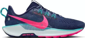 Nike Pegasus Trail 5 (DV3864) blau