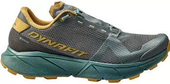 Dynafit Ultra 100 GTX Laufschuh Herren lichen atlantic 0708