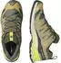 Salomon XA Pro 3D V9 GTX oliv