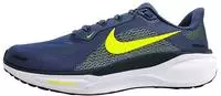 Nike FD2722-501, Nike Pegasus Herren Sneaker - Lila - Gr&ouml;&szlig;e 44 - Netz/Synthetik