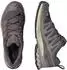Salomon Xa Pro 3D V9 grau/silber