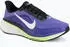 Nike Pegasus 42 Men sapphire/lapis/lime blast/summit white