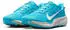Nike ACG Pegasus Trail (HV8116) baltic blue/light orewood brown/ironstone/summit white