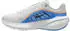 Nike Downshifter 14 (IB1895) platinum tint/off noir/schwarz/weiß