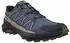 Salomon Speedcross Peak GTX grisaille/spellbound/safari