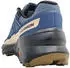 Salomon Speedcross Peak GTX grisaille/spellbound/safari