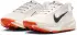 Nike ACG Pegasus Trail (HV8116) summit white/phantom