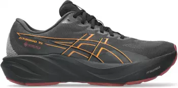 Asics GT-2000 15 GORE-TEX&reg; graphite grau/schwarz