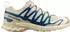 Salomon XA PRO 3D V9 (479862) beige