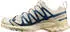 Salomon XA PRO 3D V9 (479862) beige