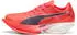 Puma Fast-R Nitro Elite 3 Men (312060) Ultra Red-Inky Depths-PUMA White